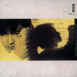 丝袜老师任我玩弄
